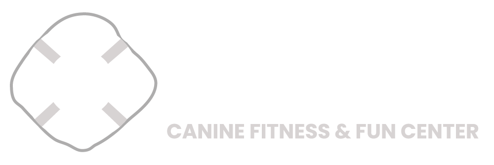 Canine Fitness & Fun Center Logo