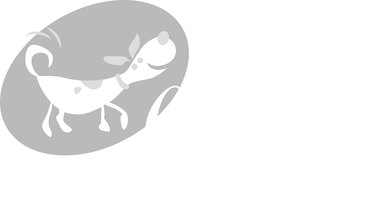 Happy Camper Logo