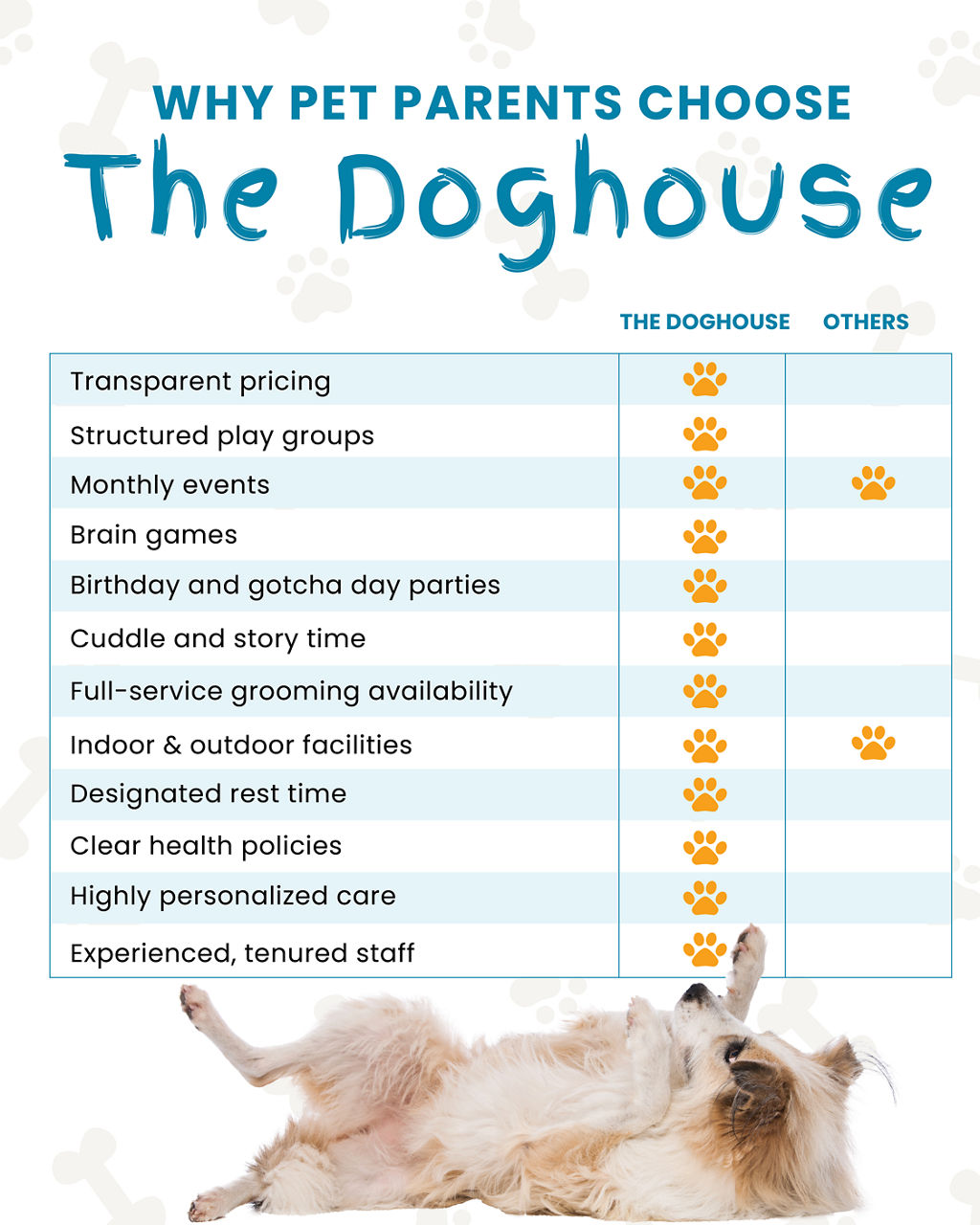 A comparison chart with a dog at the bottom