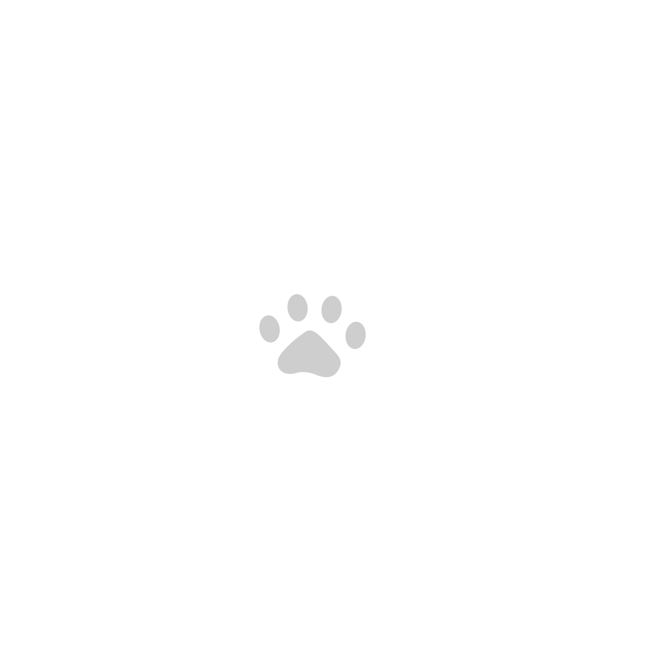 Paws Plaza Logo