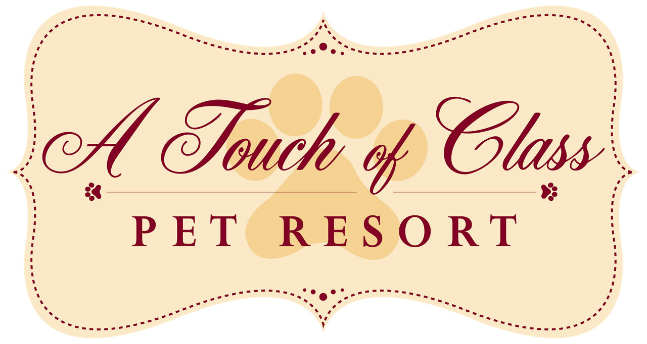 A Touch of Class Pet Resort Logo