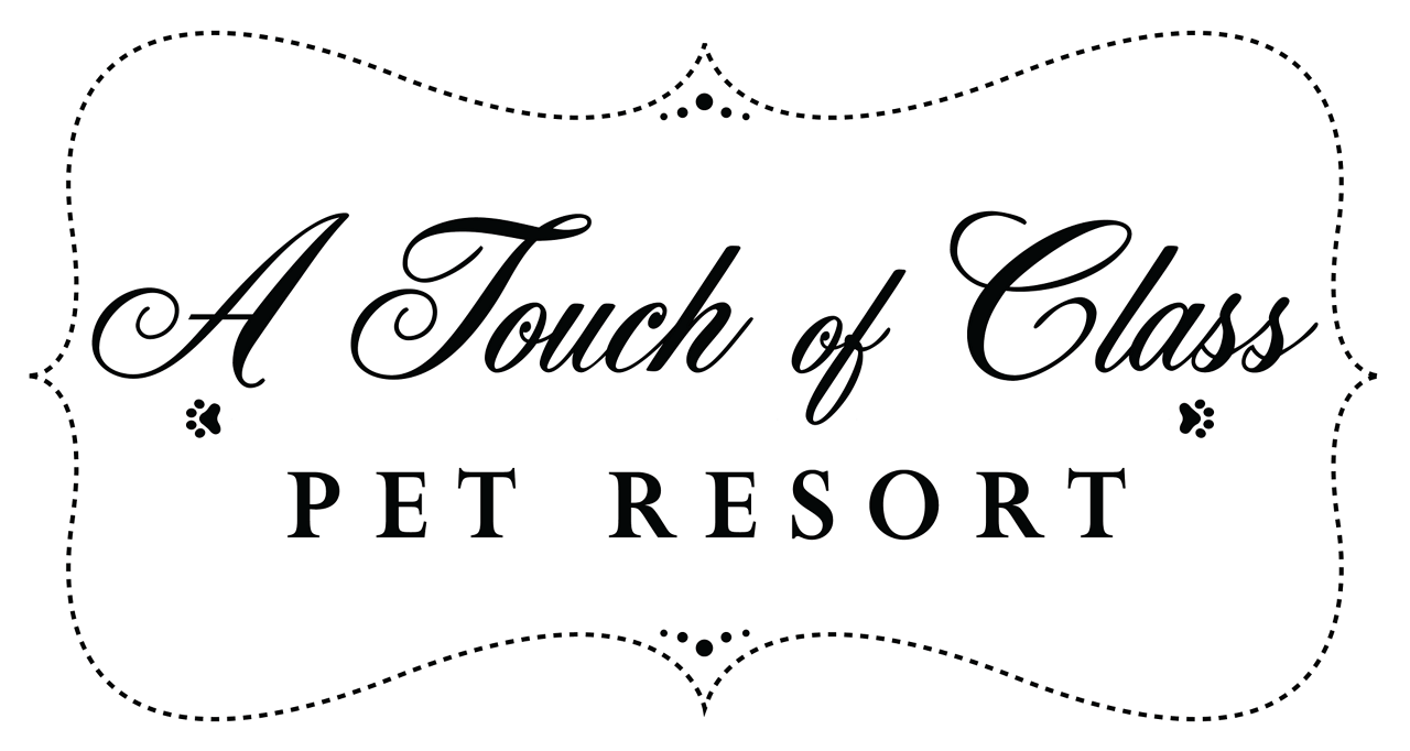 A Touch of Class Pet Resort Logo