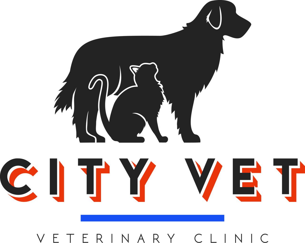 CityVet Veterinary Clinic Logo