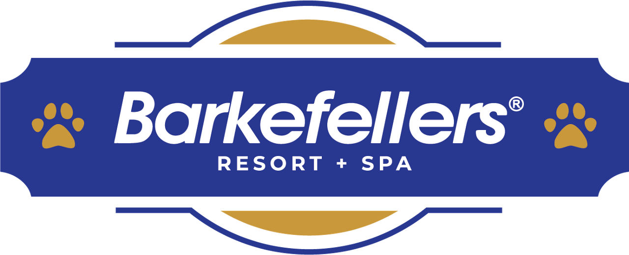 Barkefellers Northeast logo