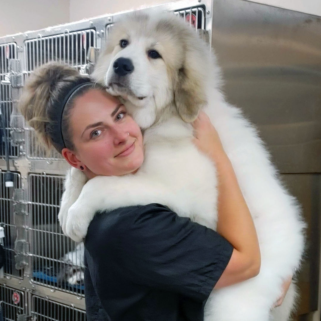 Brandi Holding Big White Dog