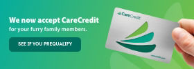 carecredit