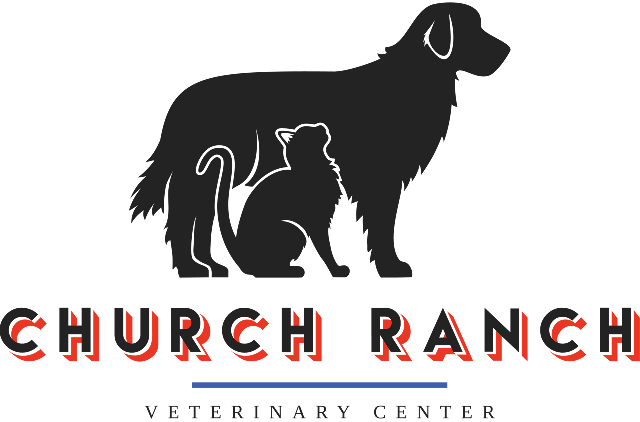 Westminster Vet, Boarding, Grooming & Daycare | Church Ranch