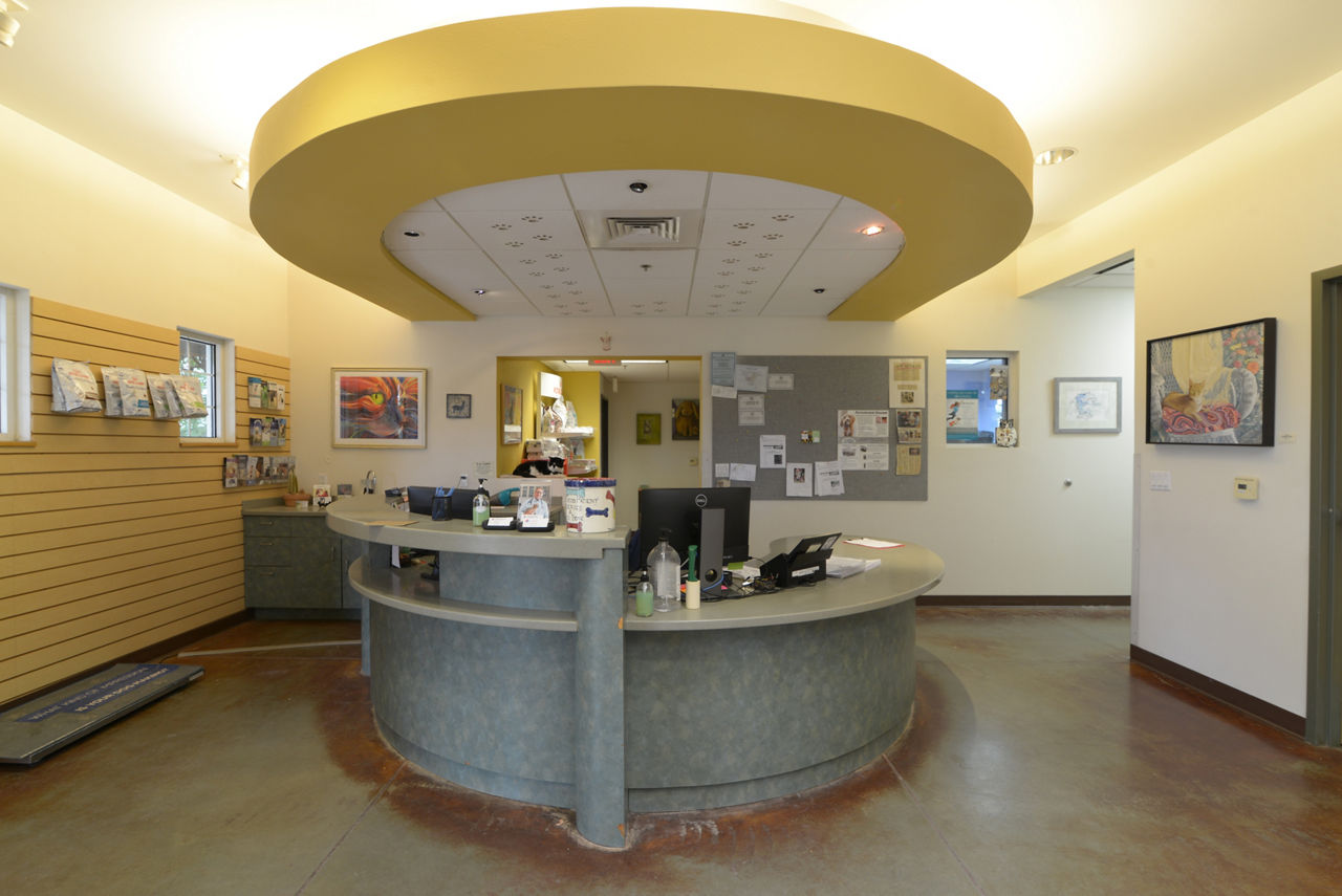 Uberdog front desk and reception area