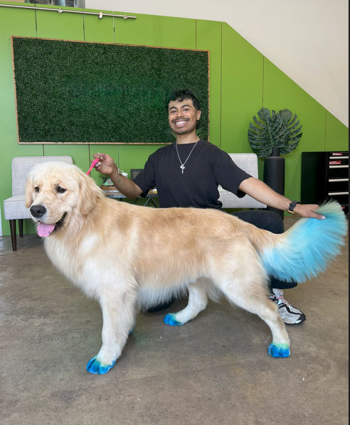 golden-retriever-groomer