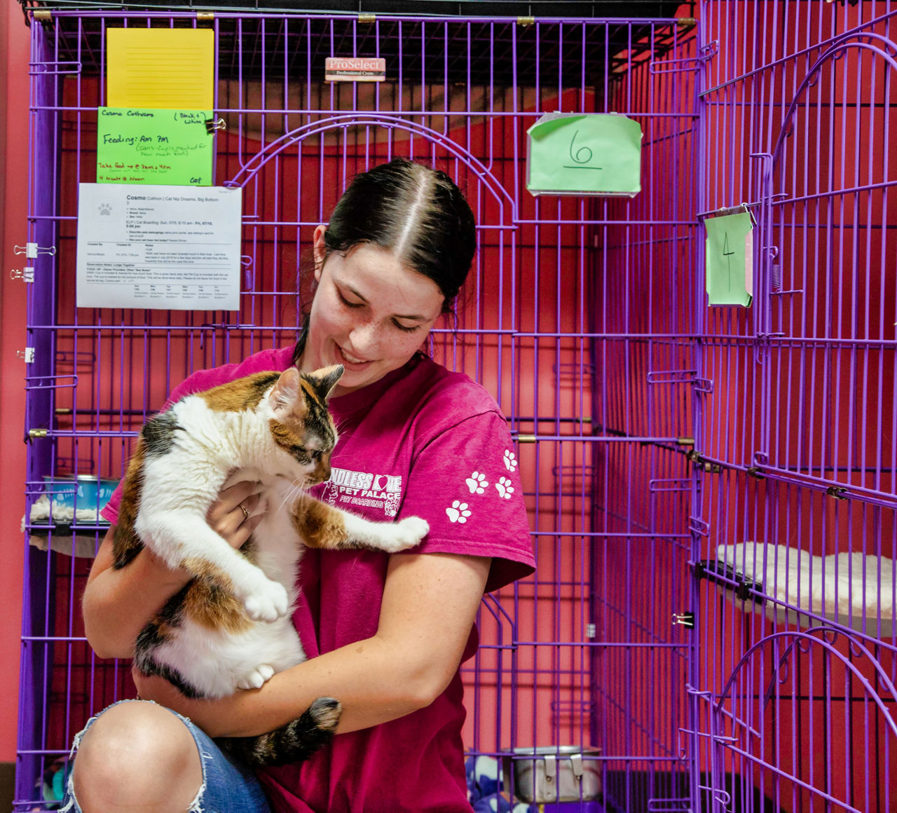 employee with cat