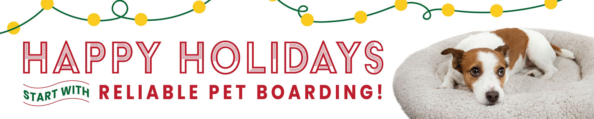 Holiday Boarding