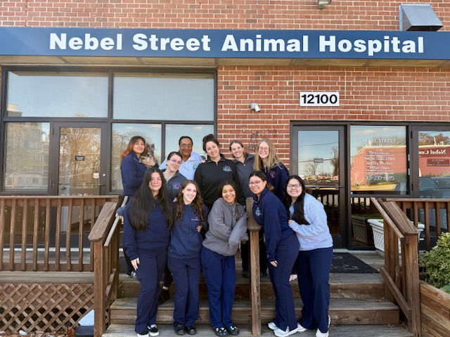 Nebel St. Animal Hospital Team members