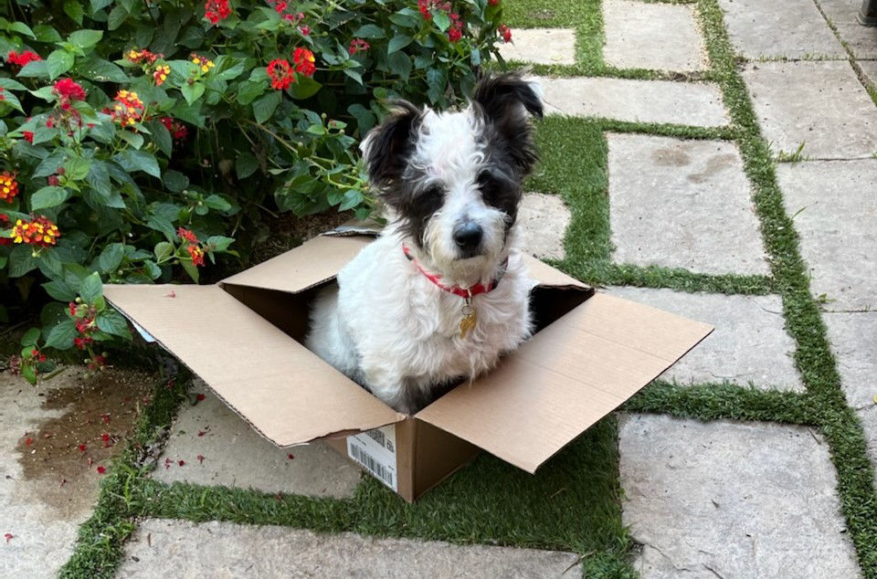 Uberdog front desk and reception area