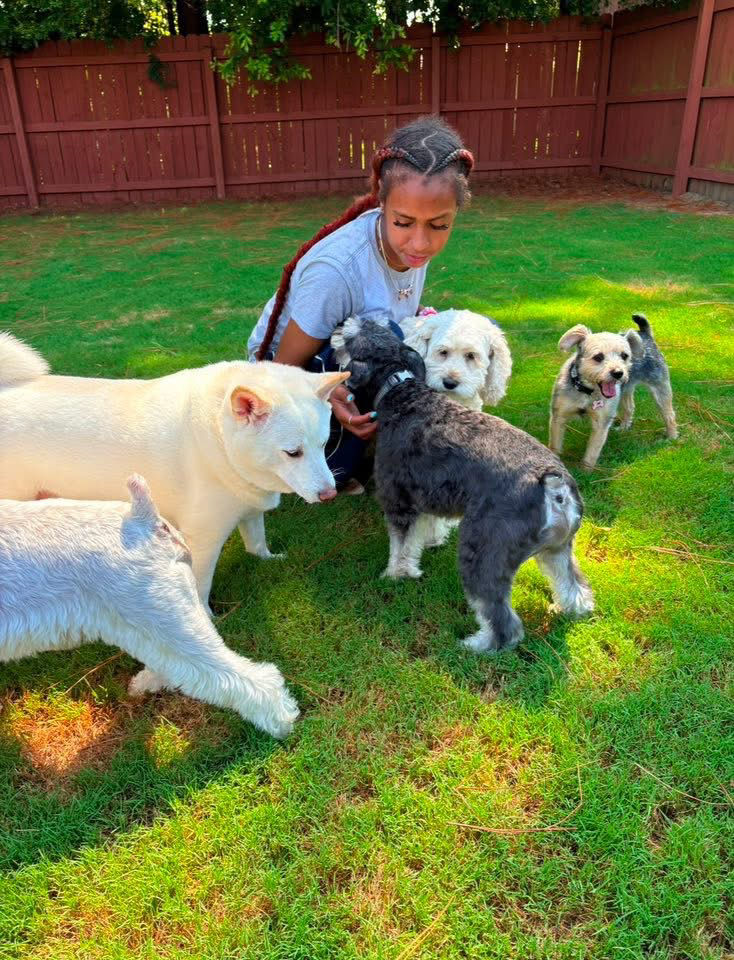 employee with dogs