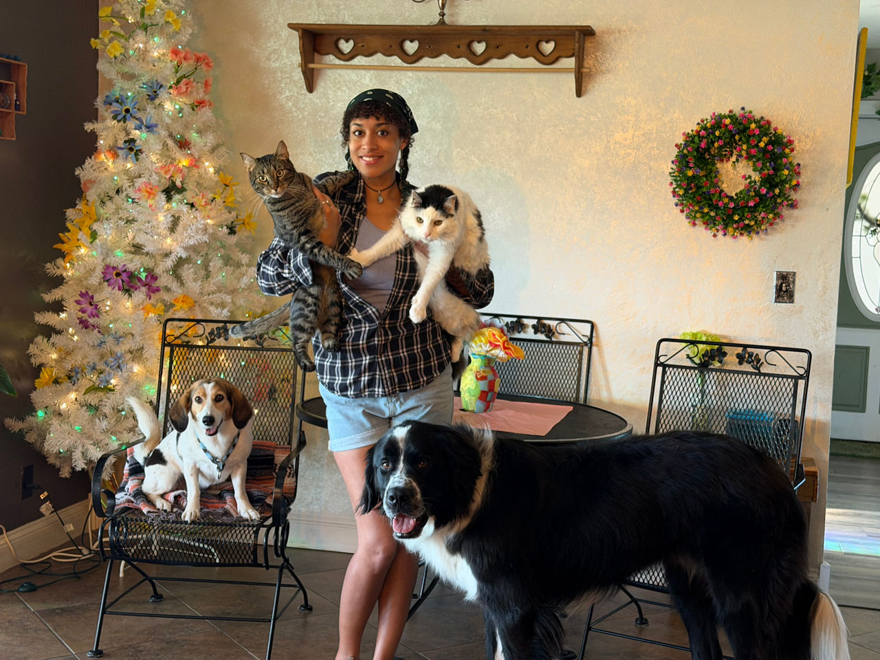 Social Media Coordinator at Canal Bark