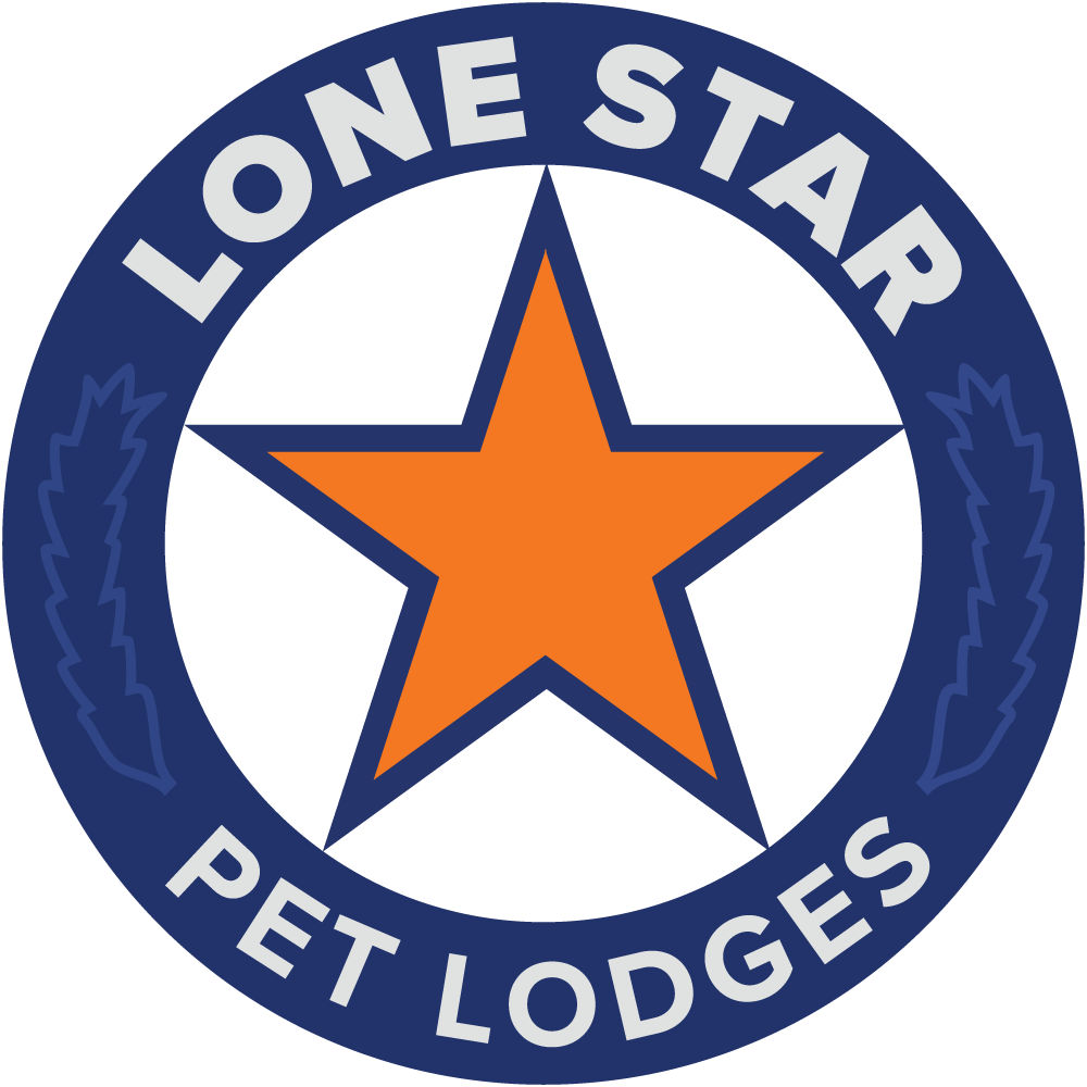 Lone Star Large Logo