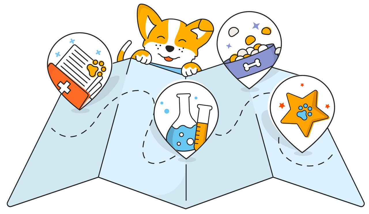 Bestlife in Phoenix, AZ Deer Creek Animal Hospital