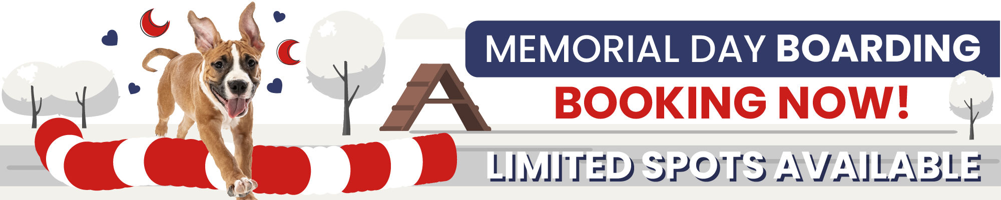 Dog playing advertising Memorial Day Boarding, Booking Now! Limited Spots Available