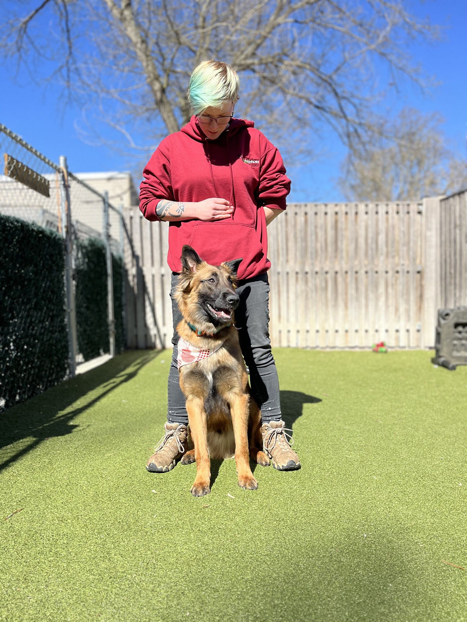 Dog with trainer