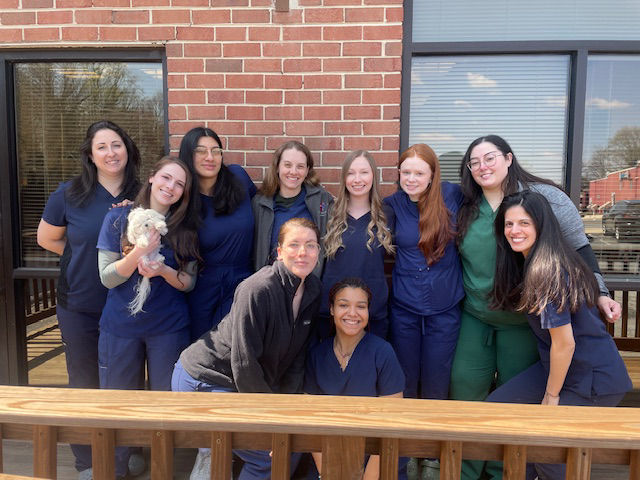 Nebel St. Animal Hospital Team members