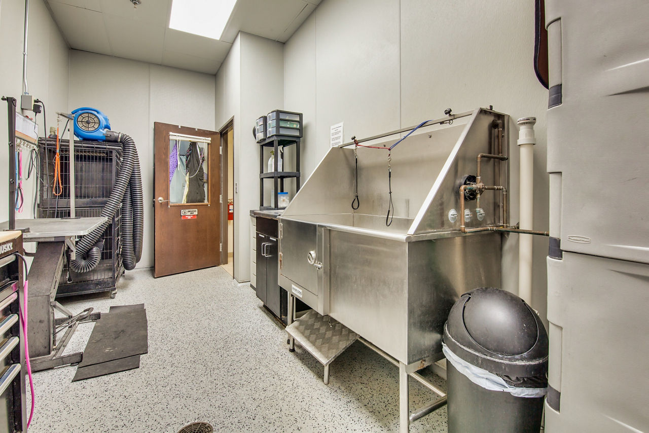 Dog getting their nails trimmed