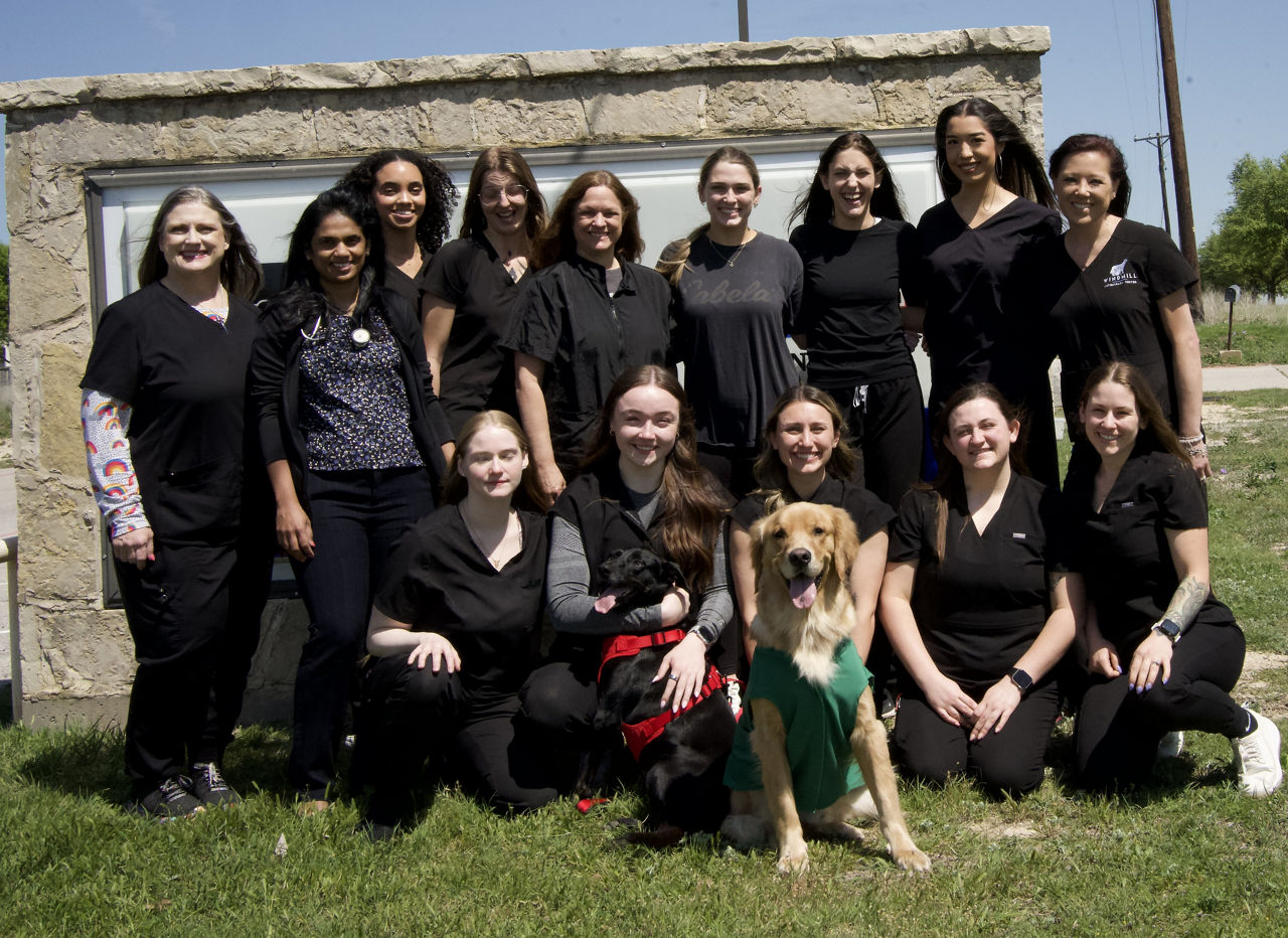 Team photo at Windmill Veterinary Center.