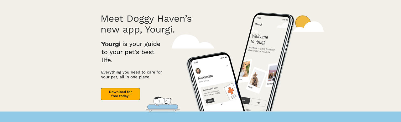 Our App | Doggy Haven At Bothell, WA