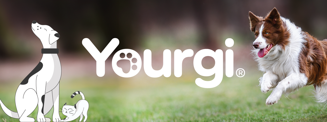 Yourgi-banner