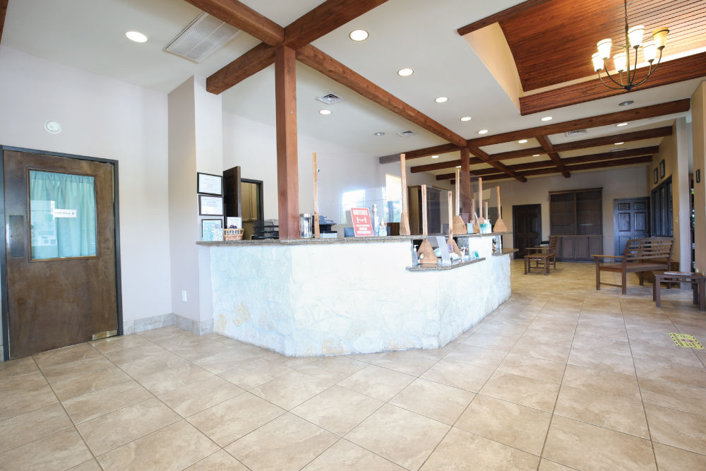 All Community Animal Hospital's lobby