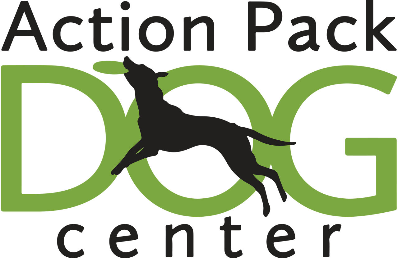 Action Pack Logo