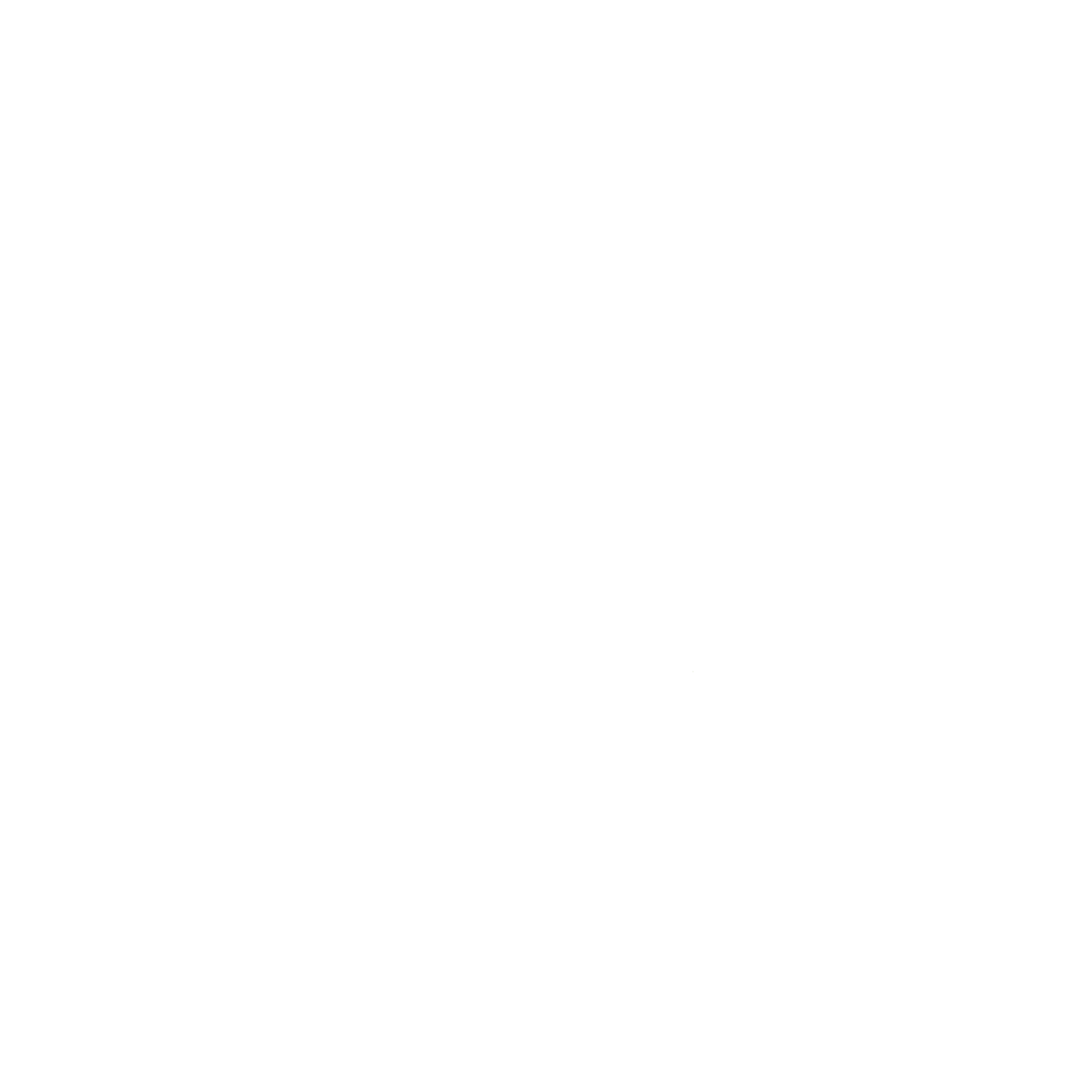 Action Pack Logo