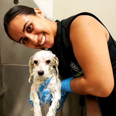 Dog Show Quality Grooming