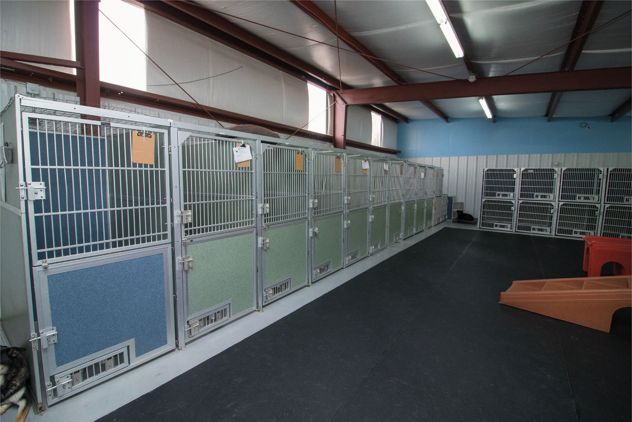 Boarding Kennels