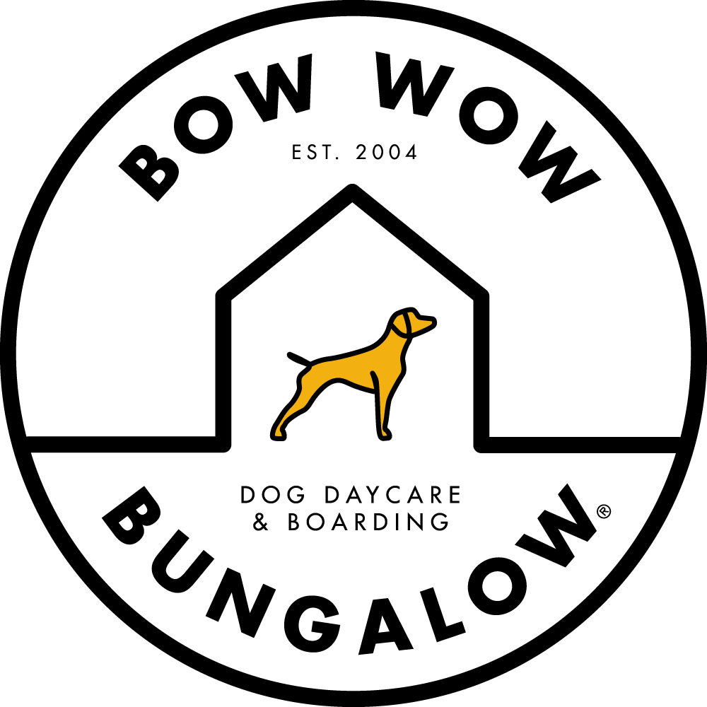 Bow wow best sale doggie day care