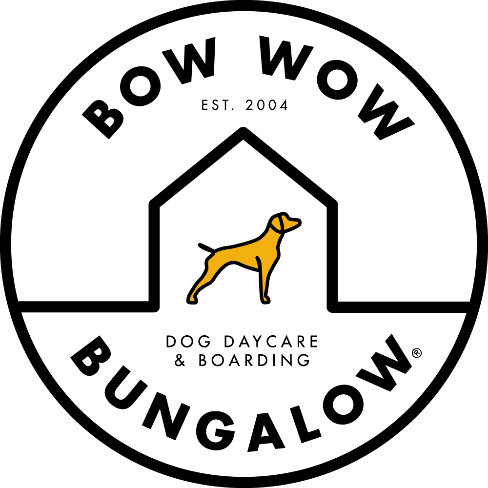 Bow wow best sale dog spa