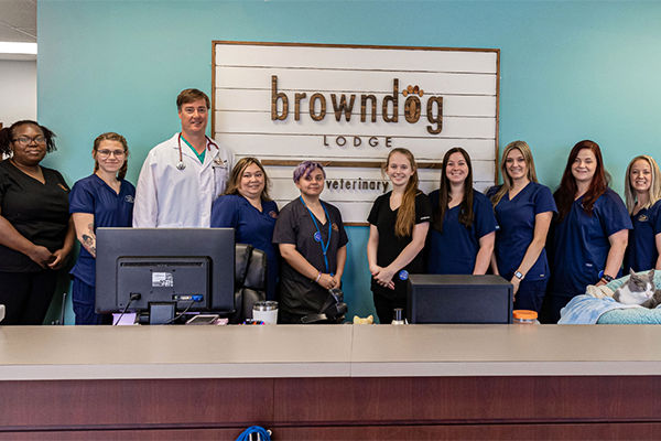 Veterinarian staff