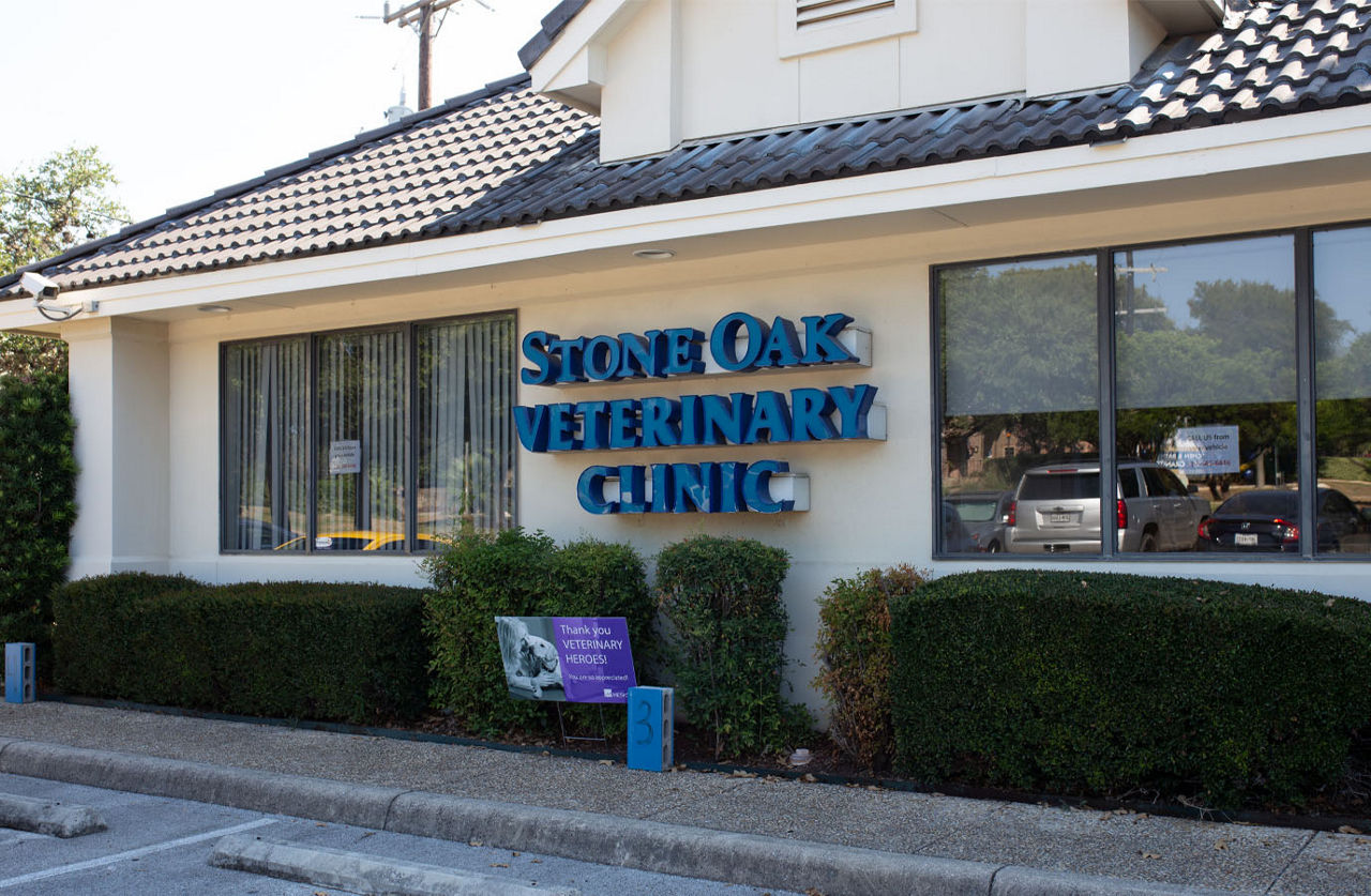 Stone Oak Veterinary Clinic Building Front