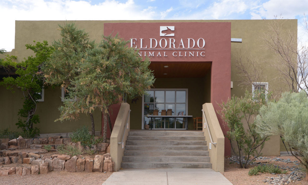 Eldorado Animal Clinic Building