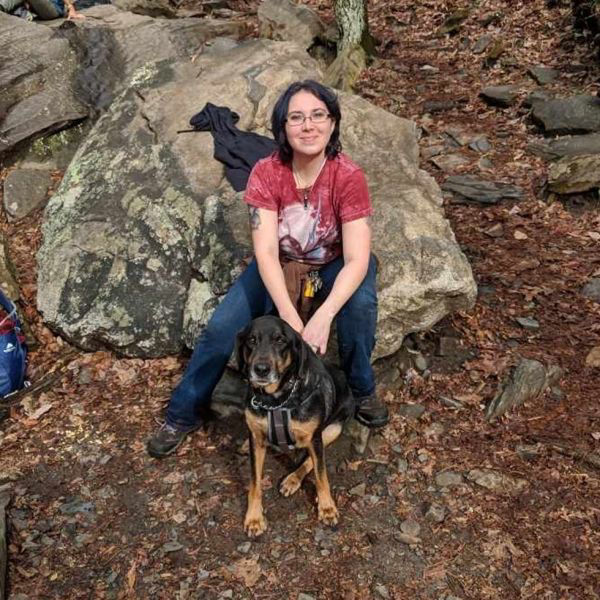 About Wescott Acres Luxury Pet Resort Animal Boarding Columbia, Irmo