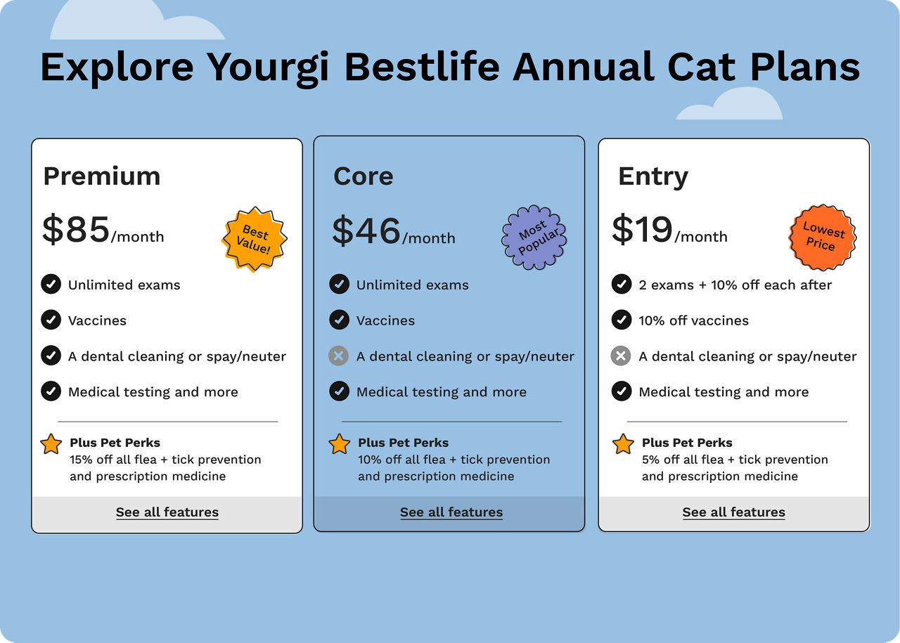 Bestlife Details Cat | Deer Creek Animal Hospital