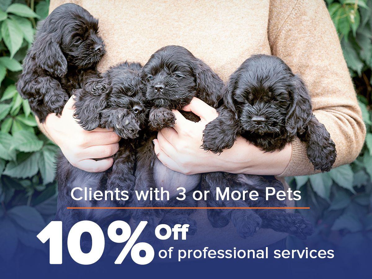 Clients with 3 or more pets