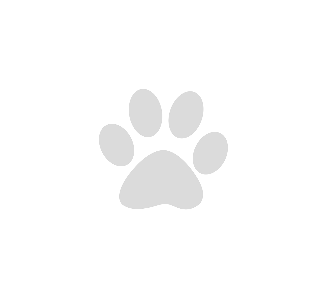 Club Canine Logo