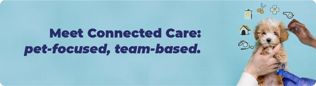 Connected care