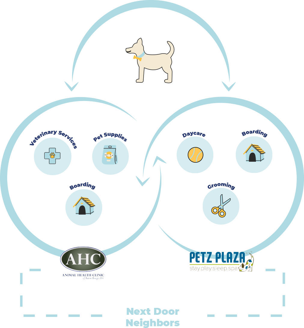 Connected care infographic