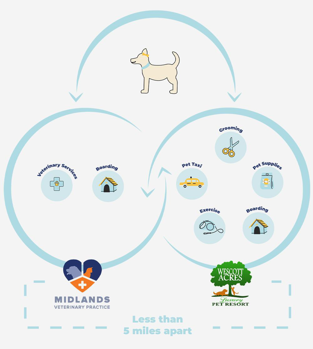 Connected care vet diagram