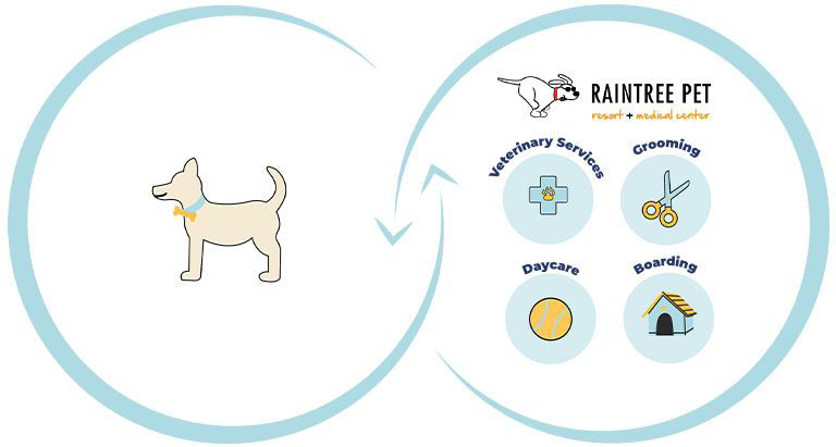Connected care vet diagram