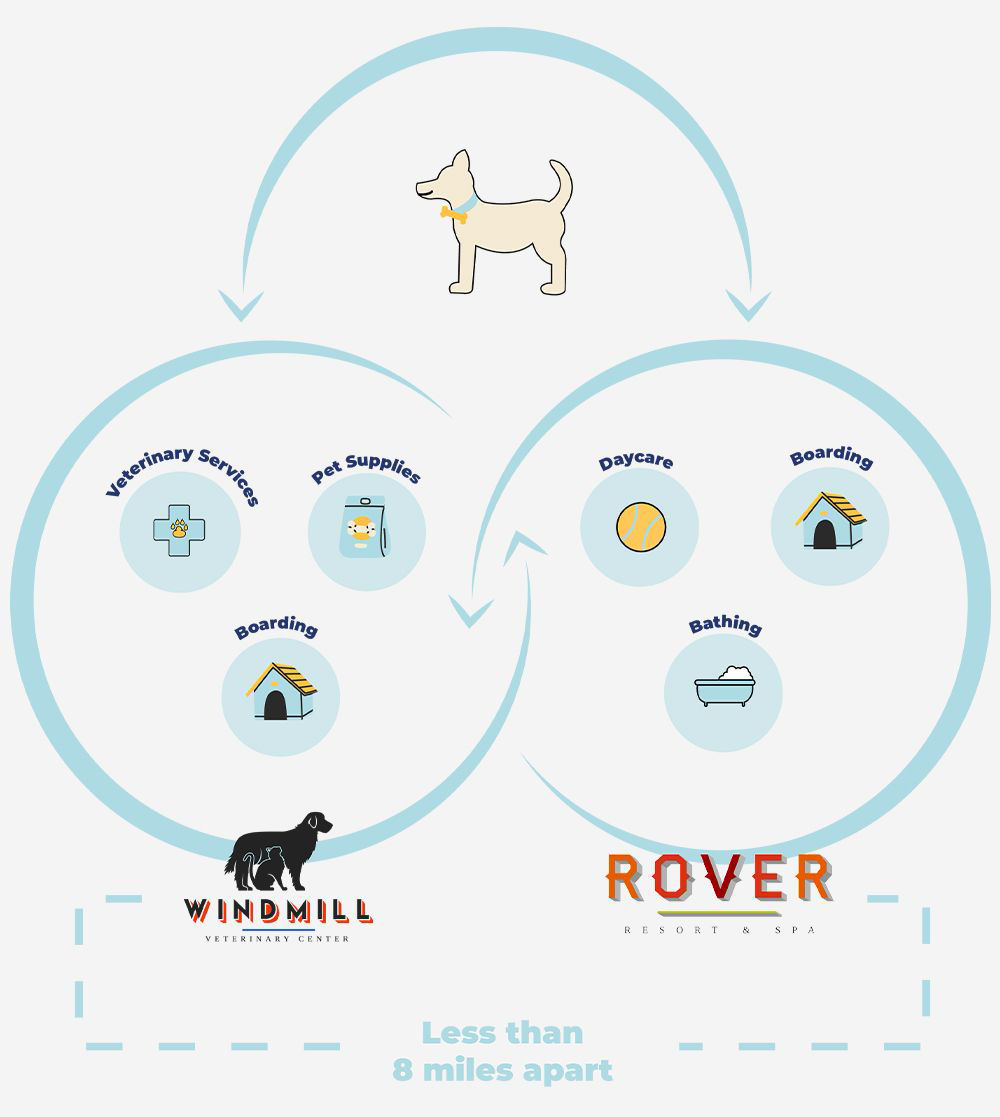 Connected care vet diagram