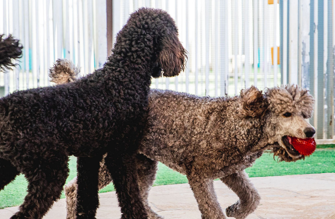 Uberdog front desk and reception area