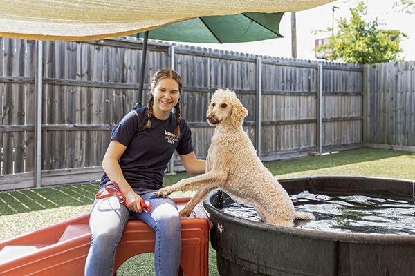 Staff with dog in pool