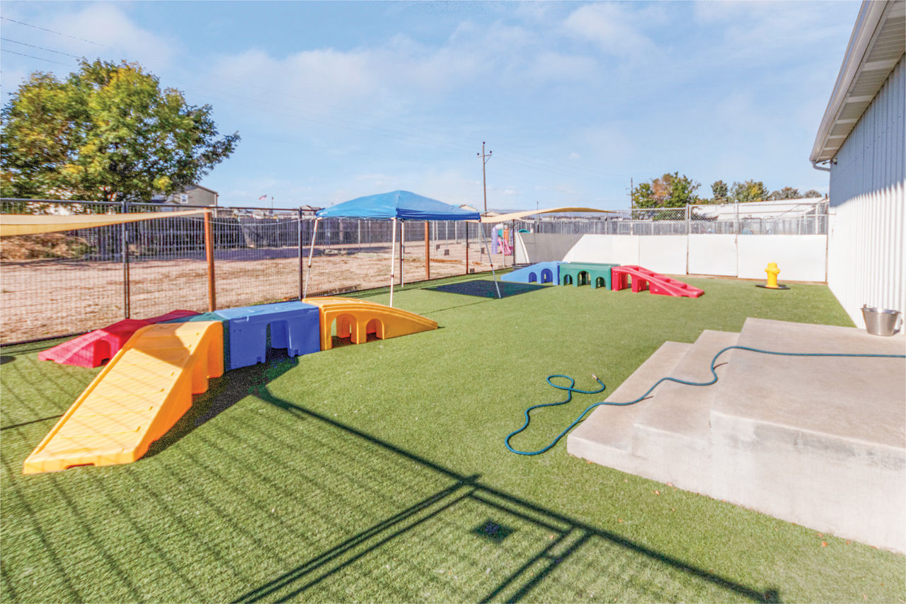 https://images.destpet.com/is/image/destpet/daycare-yard-2?ts=1676984377207&dpr=off